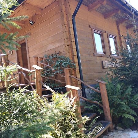 Apartament Nad Potokiem Weichsel Exterior foto