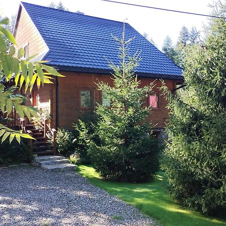 Apartament Nad Potokiem Weichsel Exterior foto