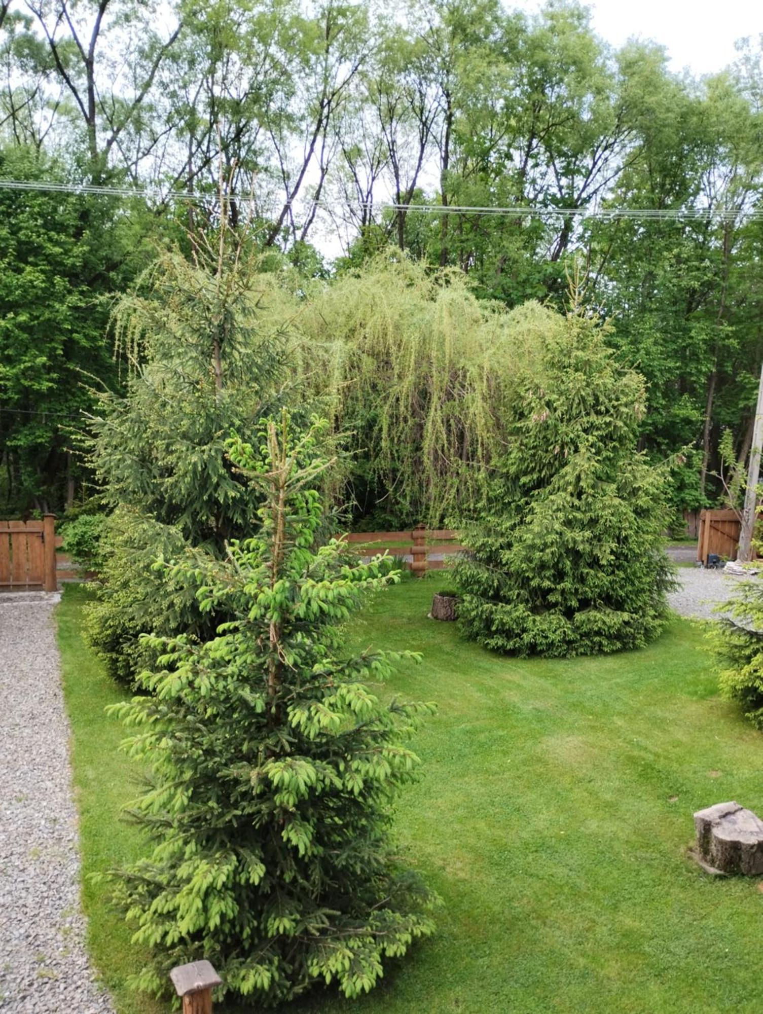 Apartament Nad Potokiem Weichsel Exterior foto